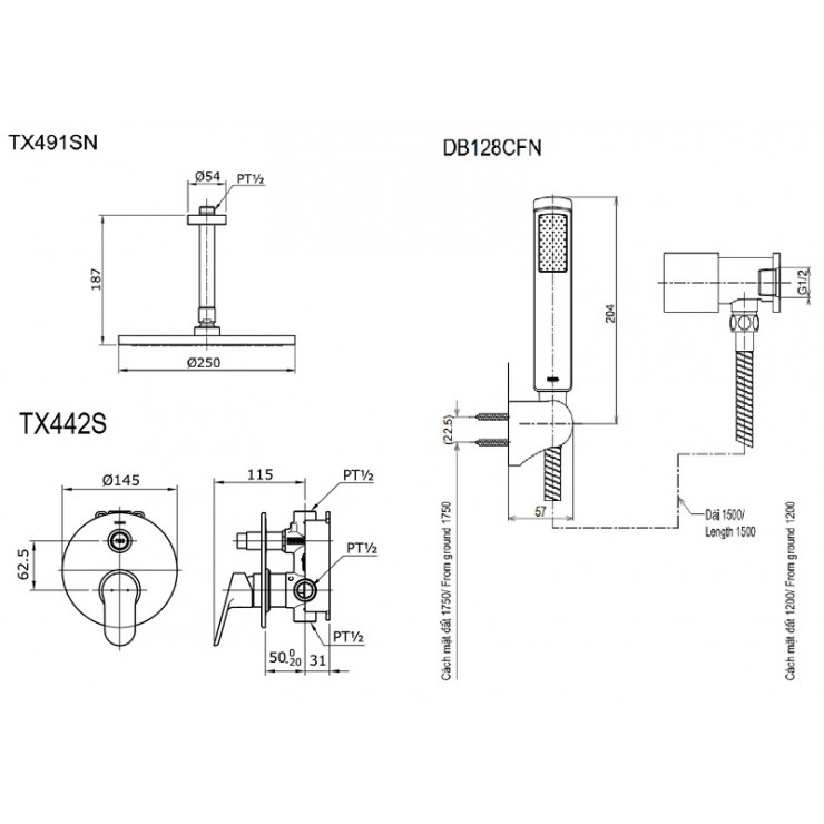 Sen Tắm TOTO TX491SN/TX442SU/DB128CFN Âm Tường