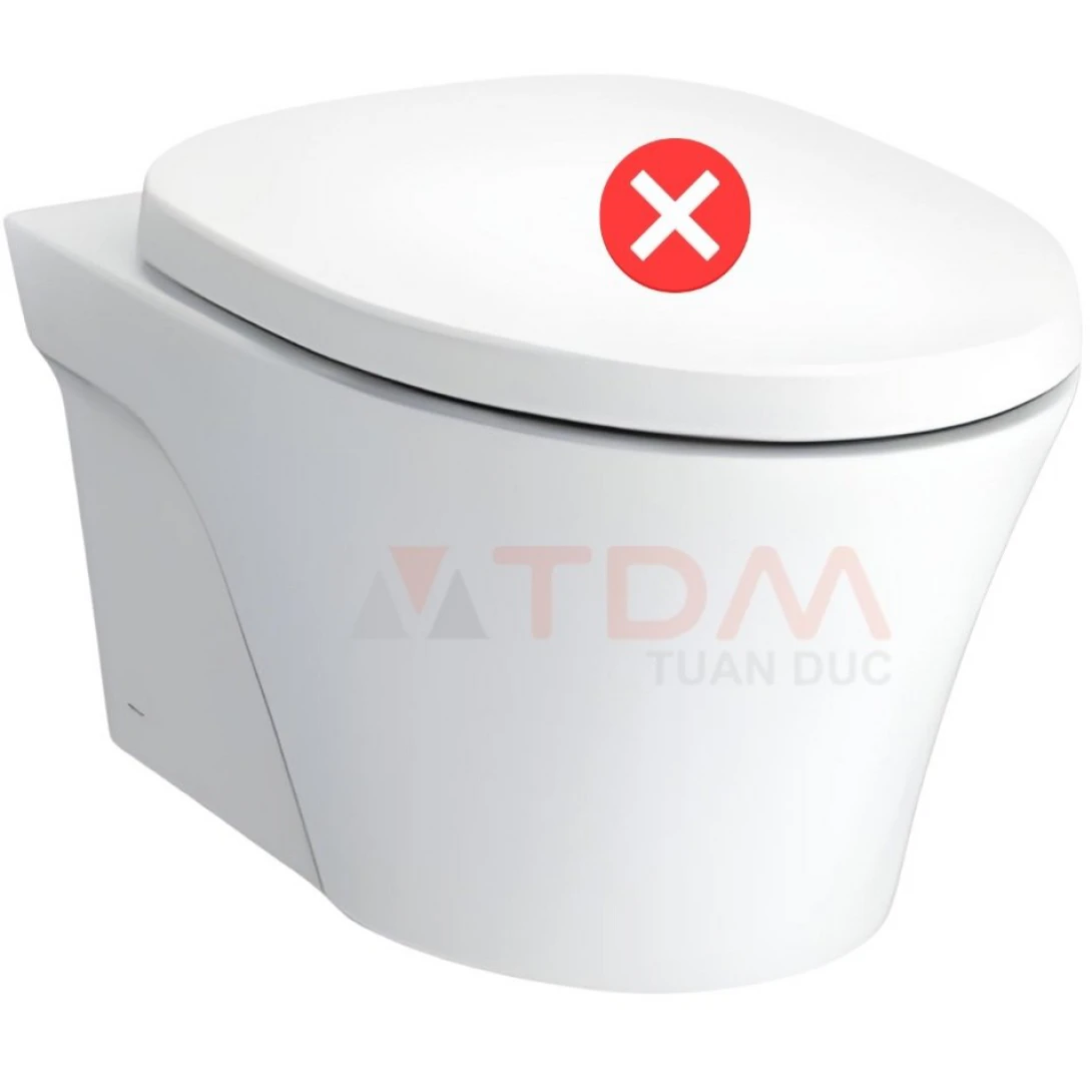 Thân Bồn Cầu TOTO CW822REA Treo Tường Giấu Dây