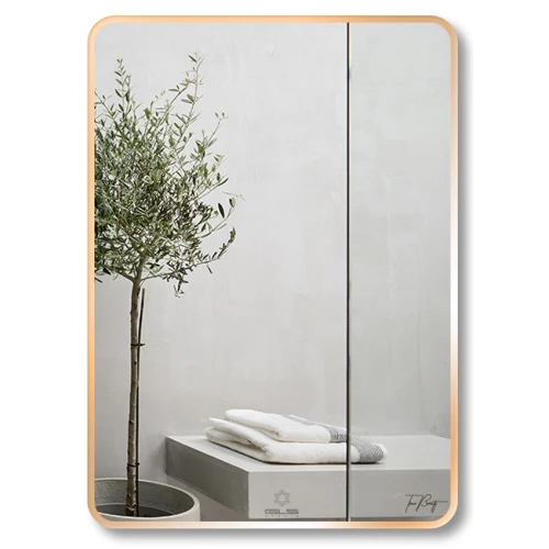 Gương Viền Nhôm GLS F13R30 Dòng F 50 x 70 cm