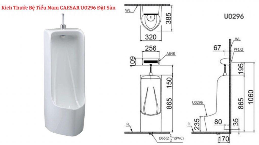 Kích thước bồn tiểu đặt sàn Caesar U0296