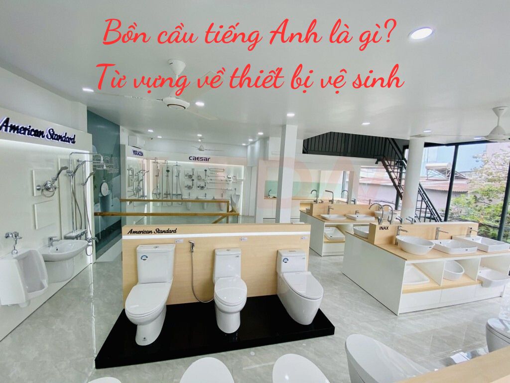 Bồn cầu tiếng Anh là gì? Cẩm nang từ vựng tiếng Anh về thiết bị vệ sinh