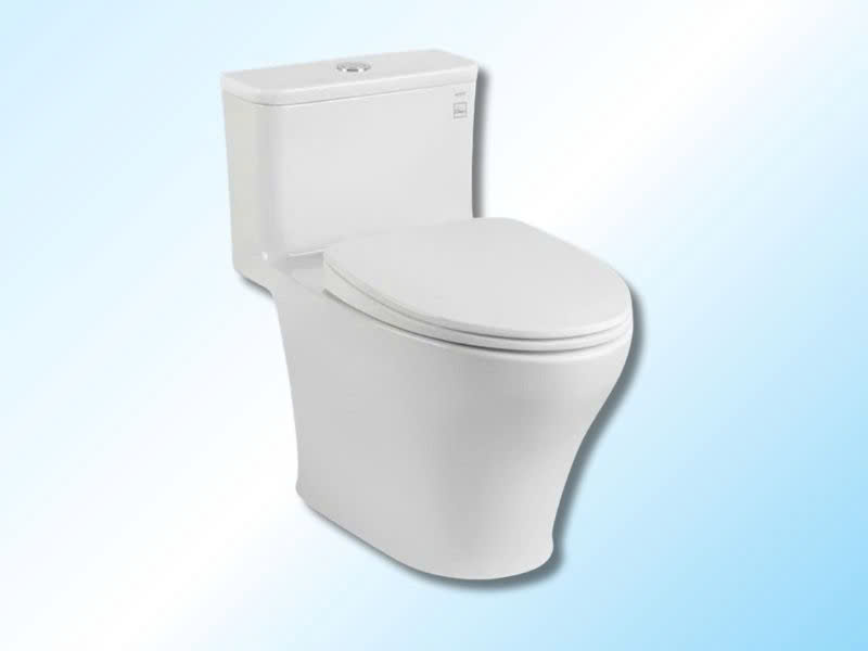 TOTO MS857/C857D (Mới ra mắt 10/3/2025)